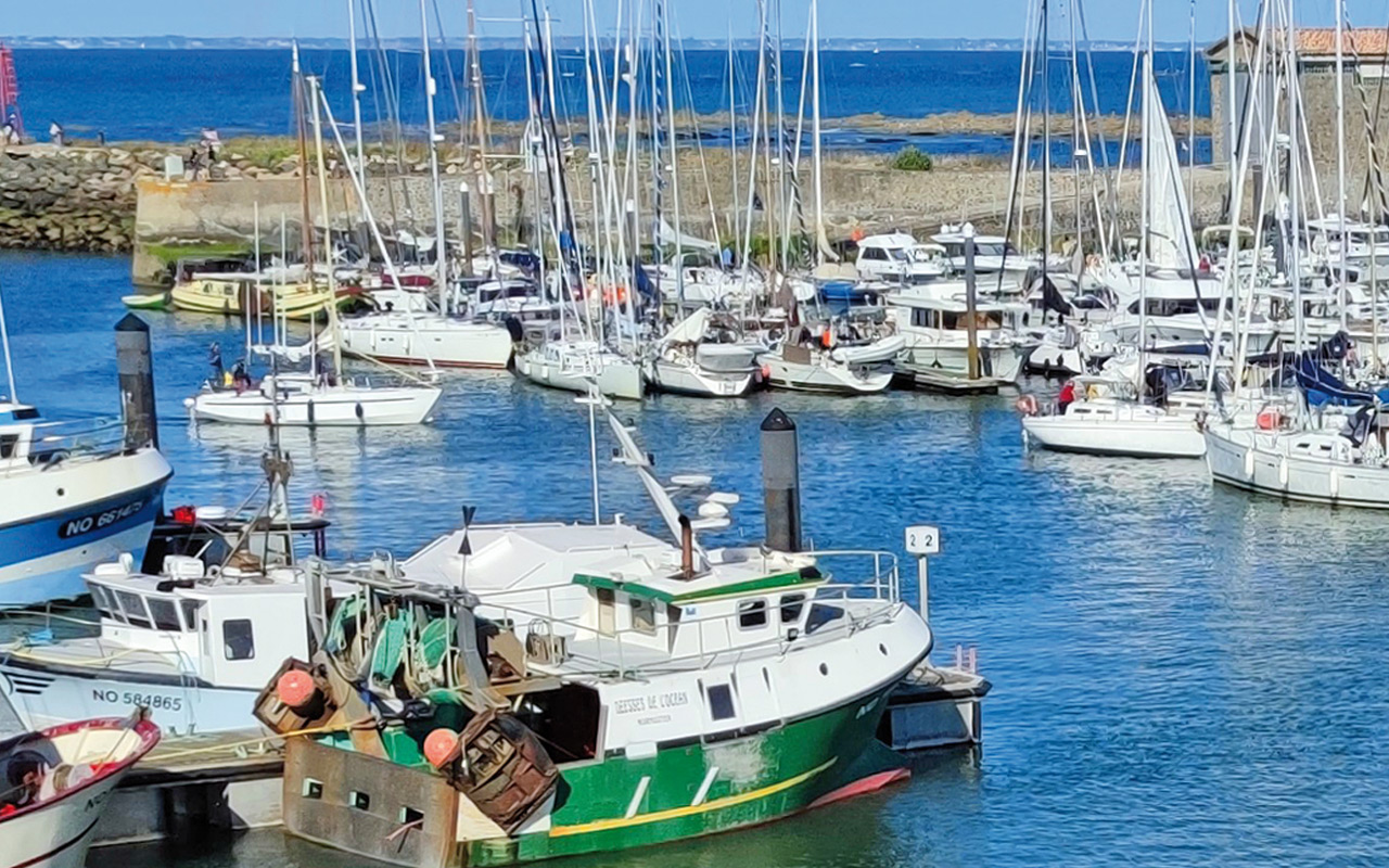 La Confédération Mer et Liberté appelle à l'interdiction des navires-usines dans les aires protégées…