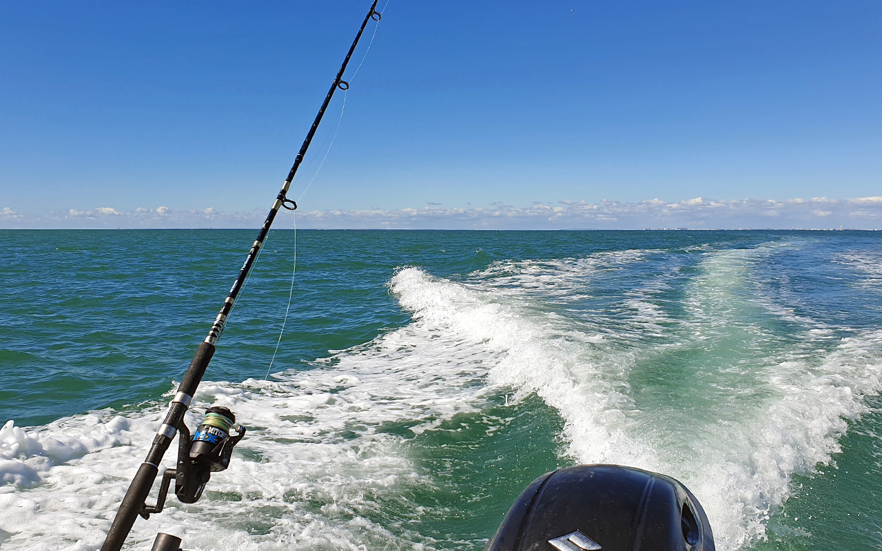 Avis 01 relatif à la fermeture de certains quotas et/ou sous-quotas de pêche pour l'année 2026