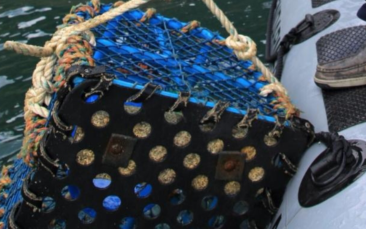 APPMPP : les plaisanciers s'inquiètentde nouvelles restrictions