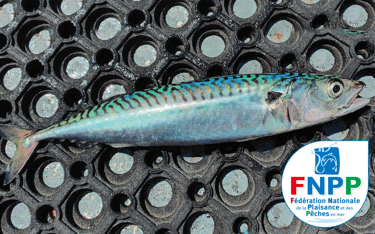 Édito : cinq seulement…