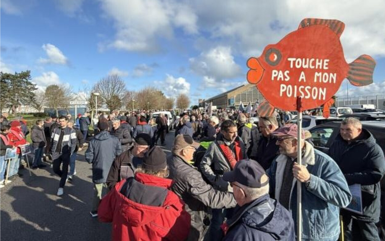 Le quota de maquereaux porté à 10 par jour et par personne : « Ça reste trop juste »