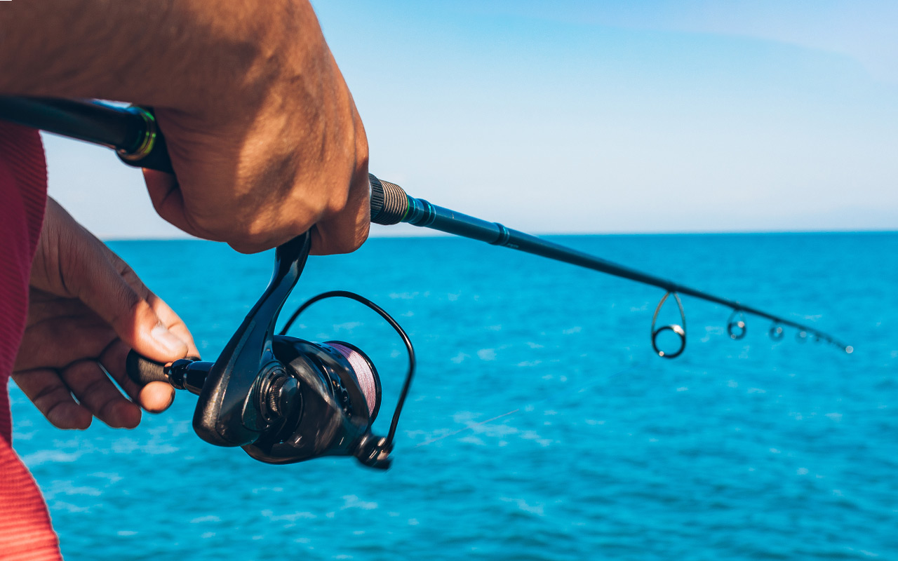 « Face à l'accumulation de contraintes », les plaisanciers de la Confédération mer & liberté écrivent à Emmanuel Macron