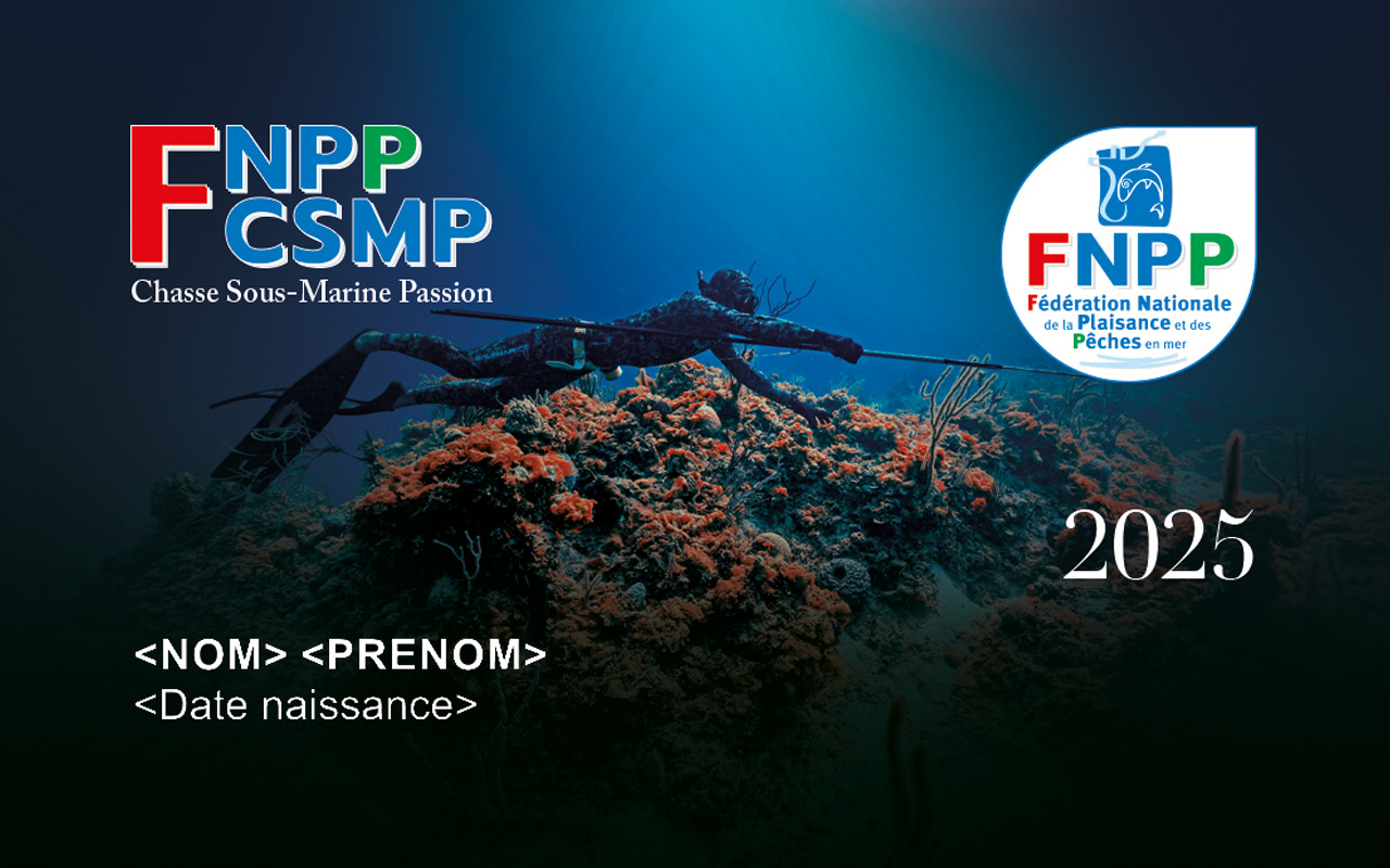 Les licences pêche sous-marine FNPP/CSMP 2025 sont en ligne depuis fin octobre