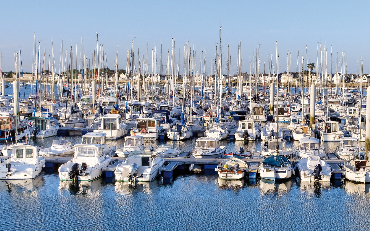 Contribution économique de la pêche récréative en mer (volet 1/2)