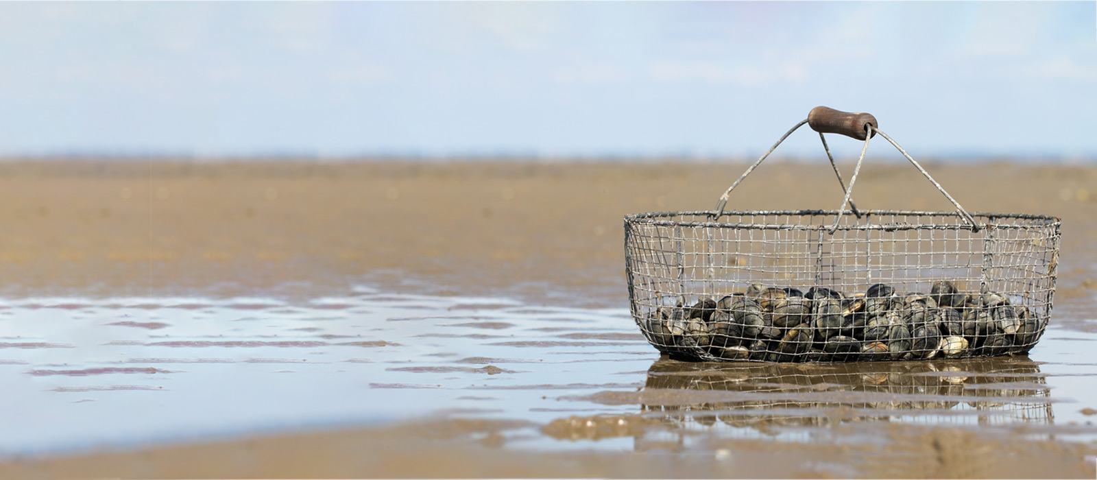 La pêche à pied se pratique à basse mer sur l'estran : espace du littoral variable qui se découvre au rythme des marées.