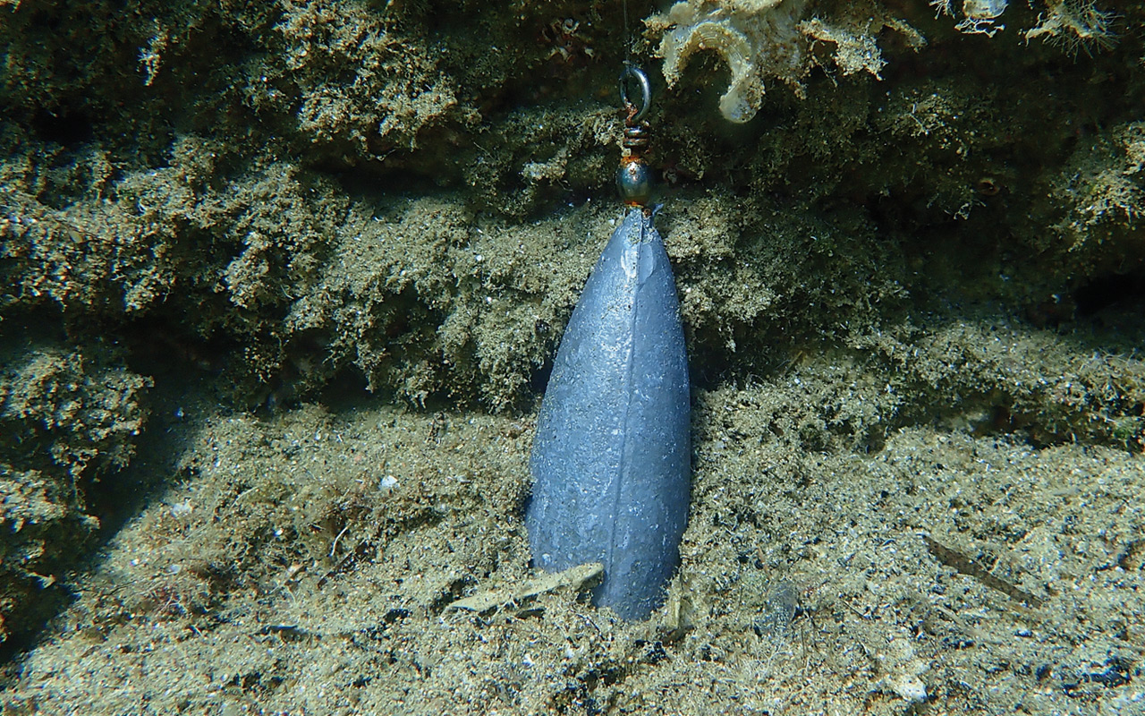 Restrictions d'usage du plomb pour les pêcheurs récréatifs en mer