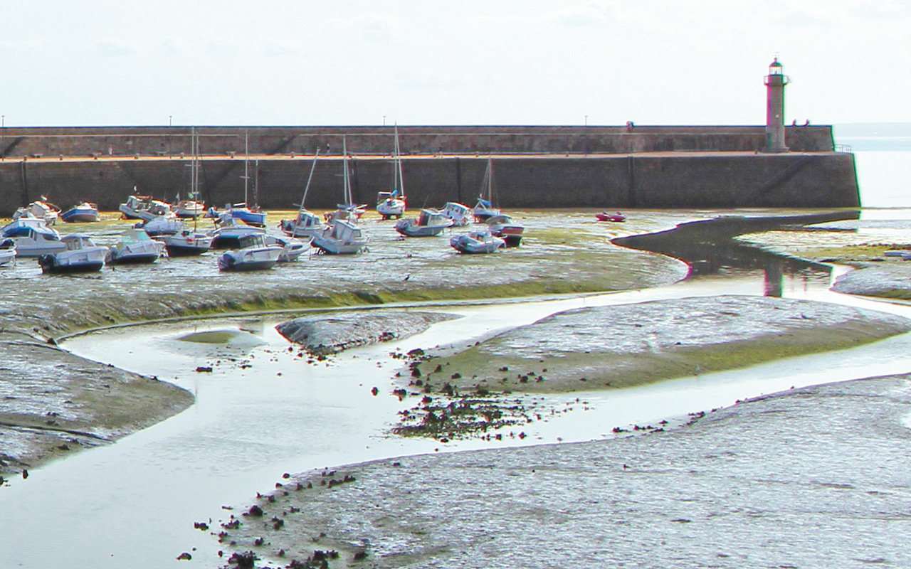 Méditerranée et Atlantique Manche et mer du Nord, quelles différences ?