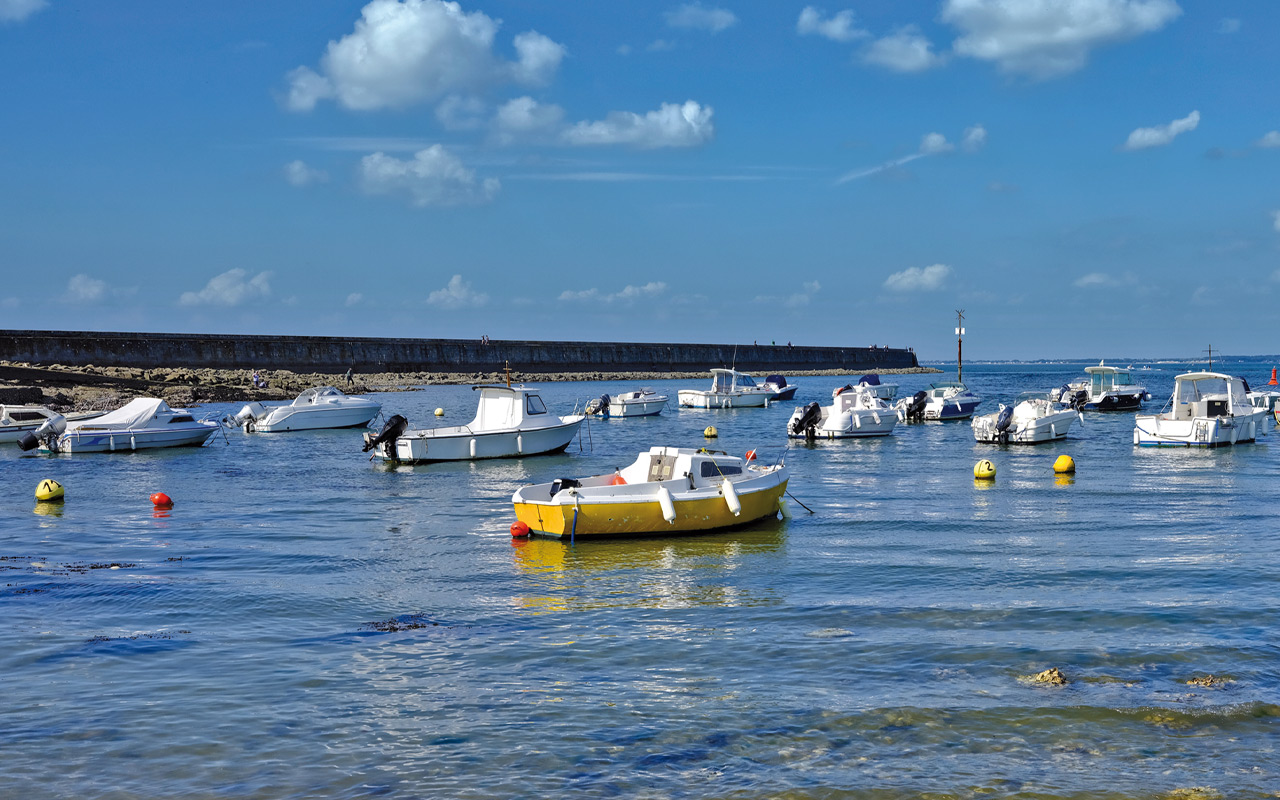 Plaisance : quand les nouvelles contraintes s'accumulent