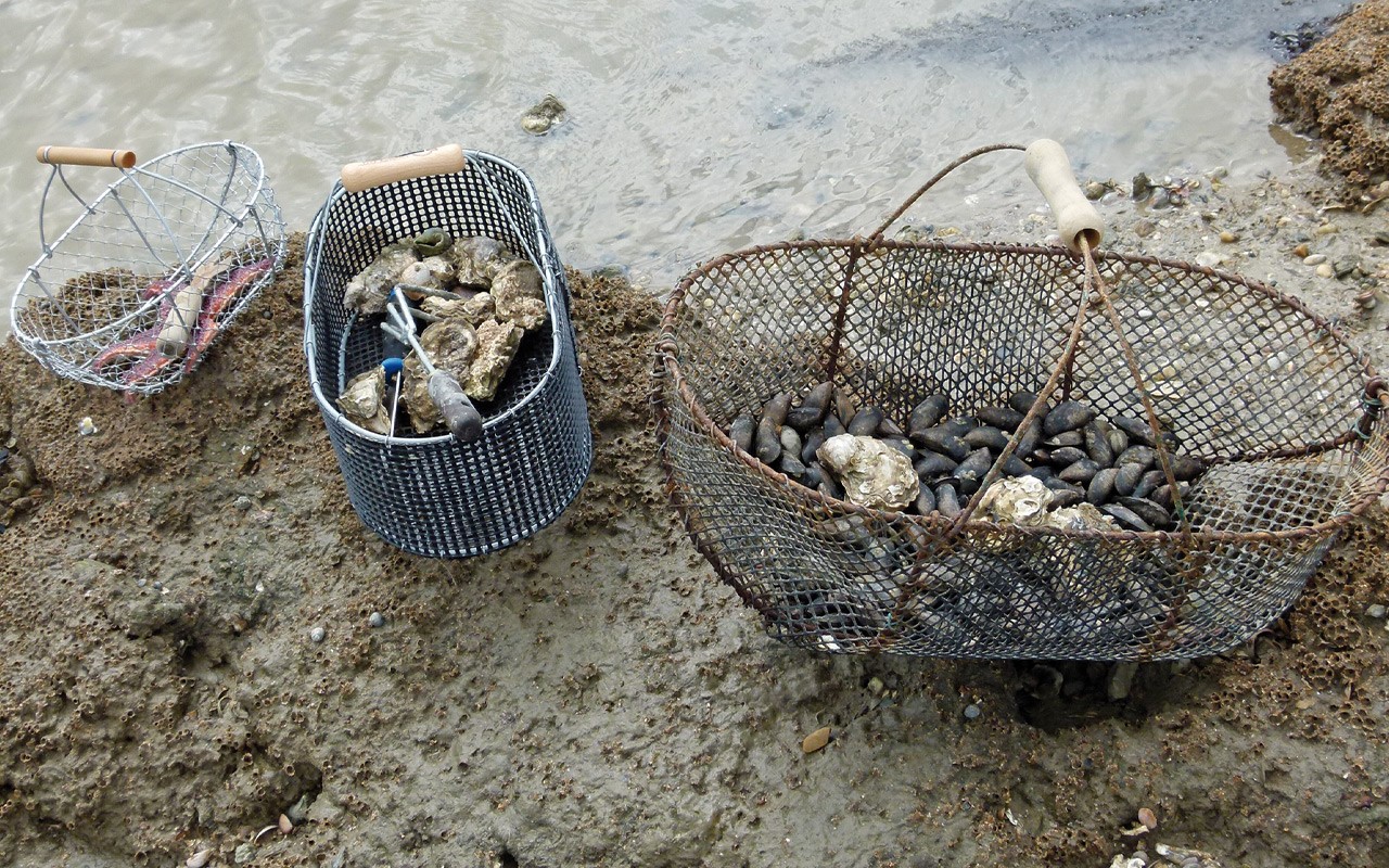 Harmonisation des pratiques de pêche à pied : un énorme chantier à mettre en œuvre !